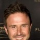 David Arquette