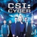 DVD CSI Cyber